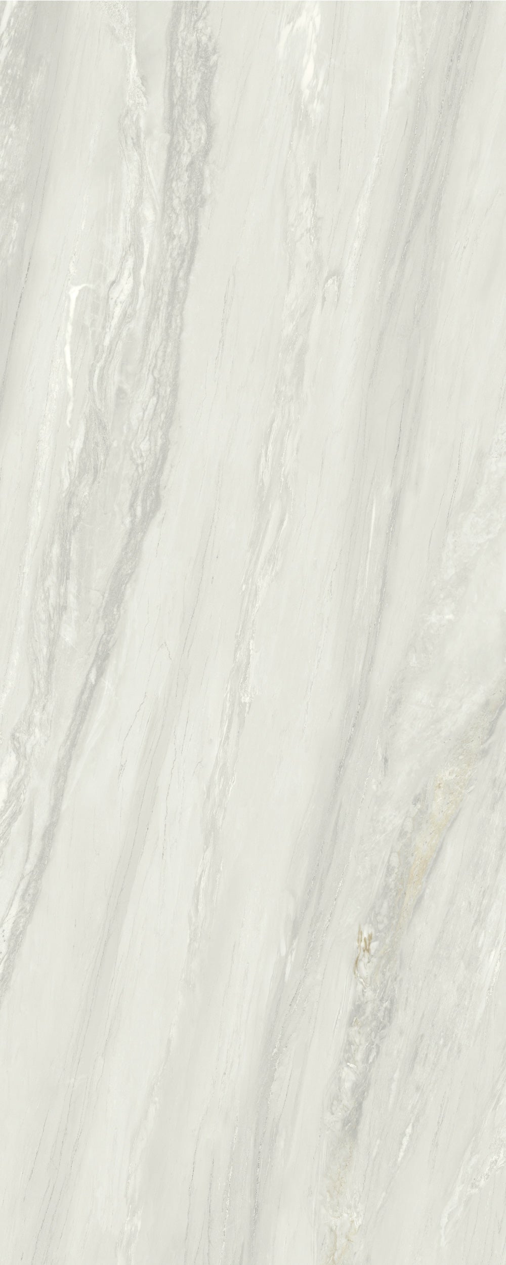GRAND OYSTER CALCITE