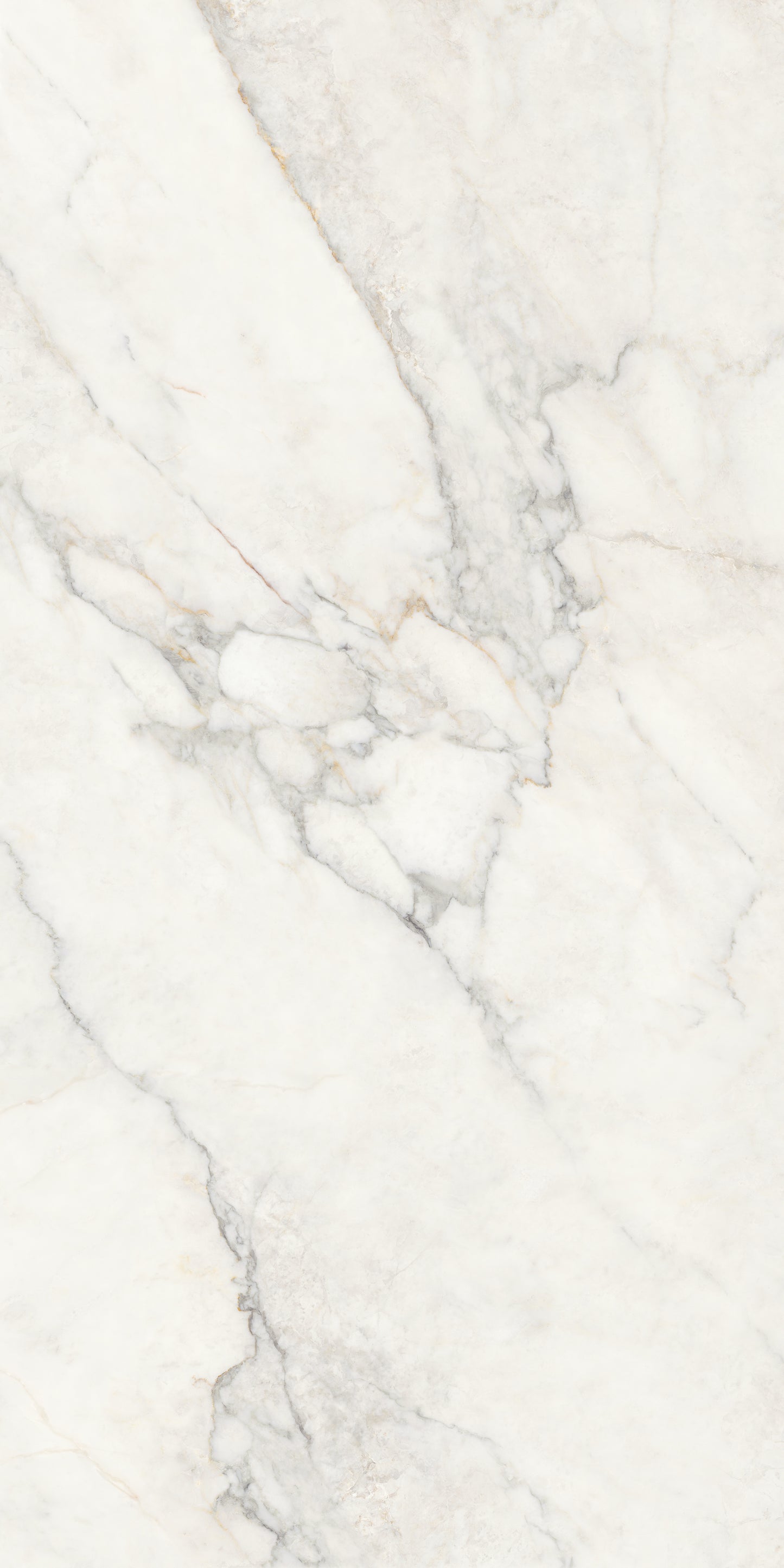 CALACATTA NUVOLA COMMERCIAL