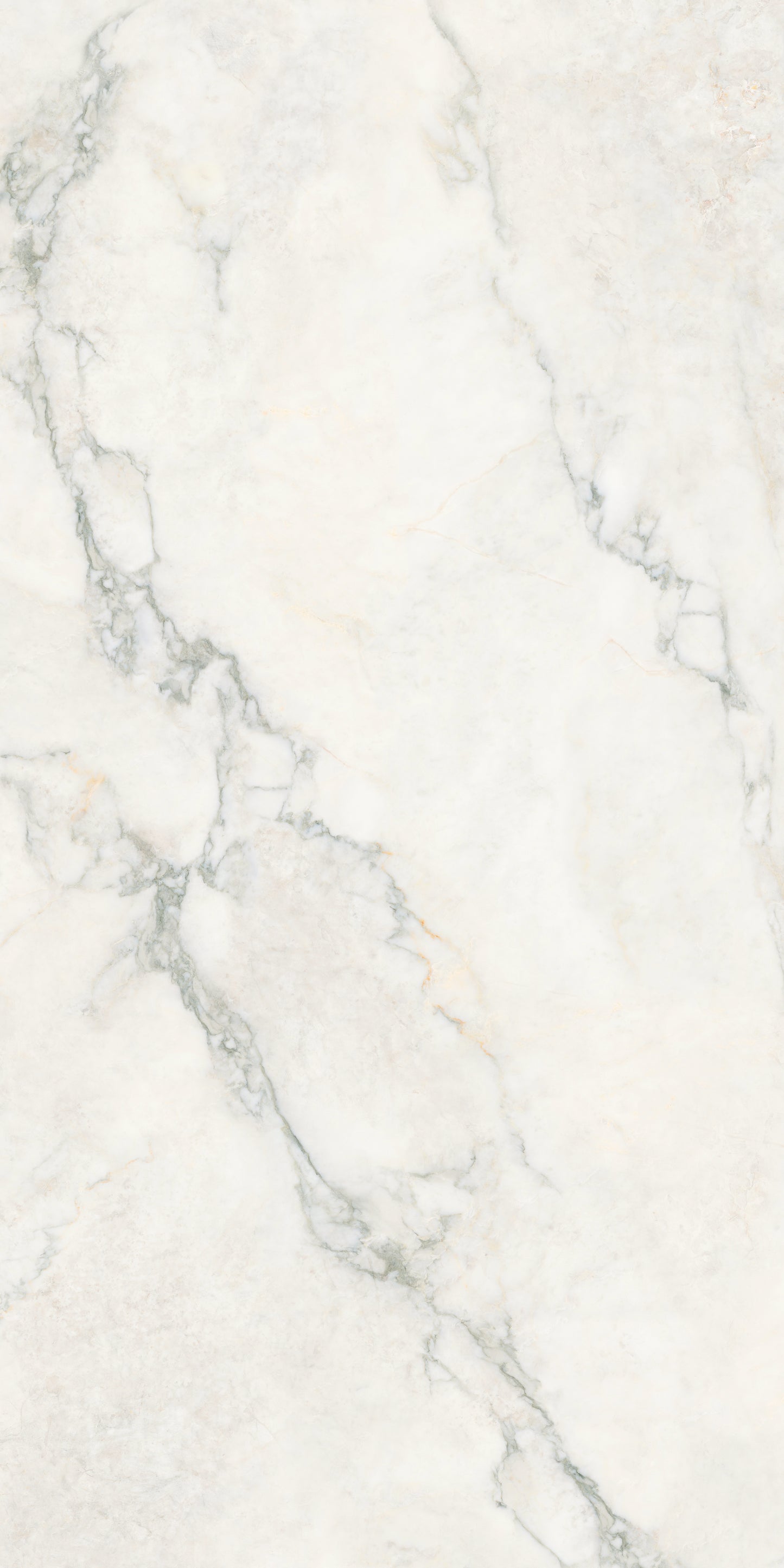 CALACATTA NUVOLA COMMERCIAL