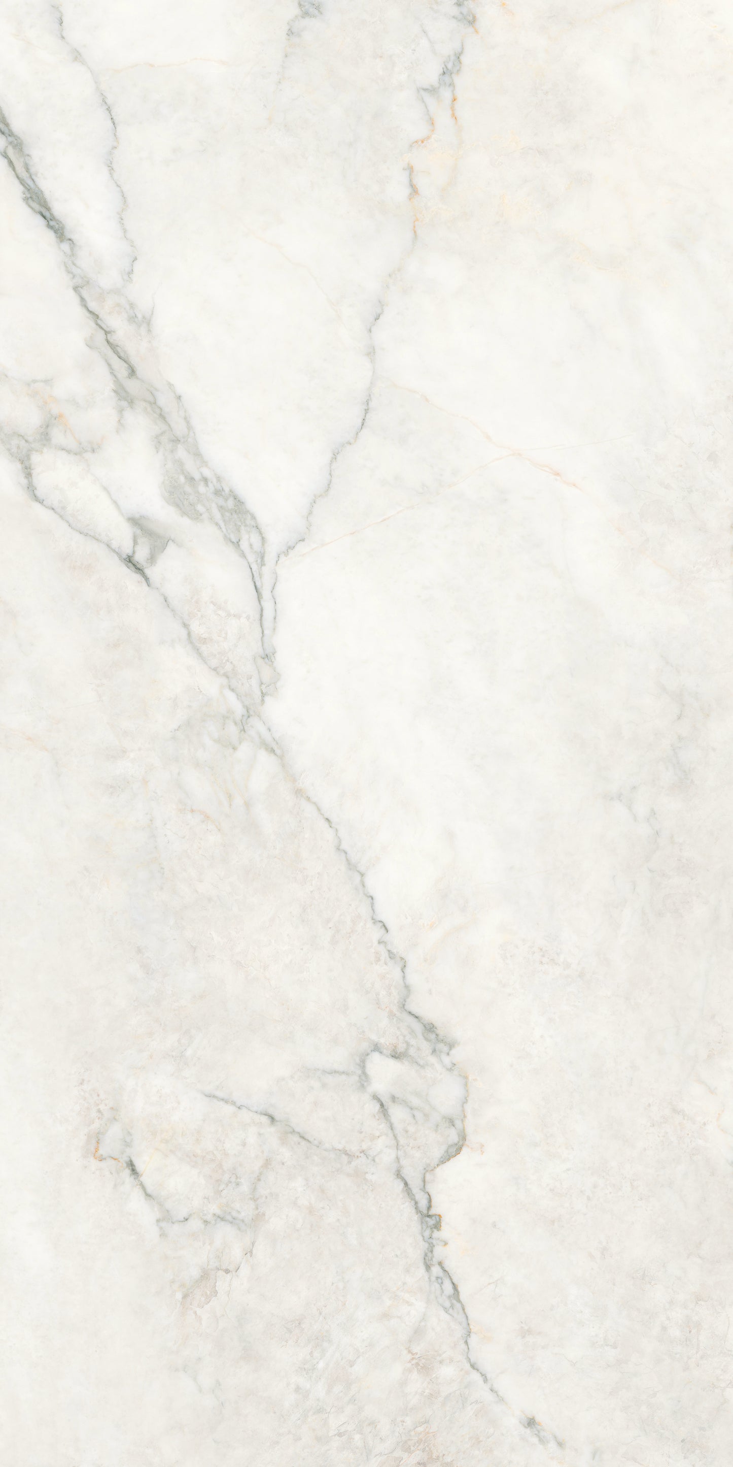 CALACATTA NUVOLA COMMERCIAL