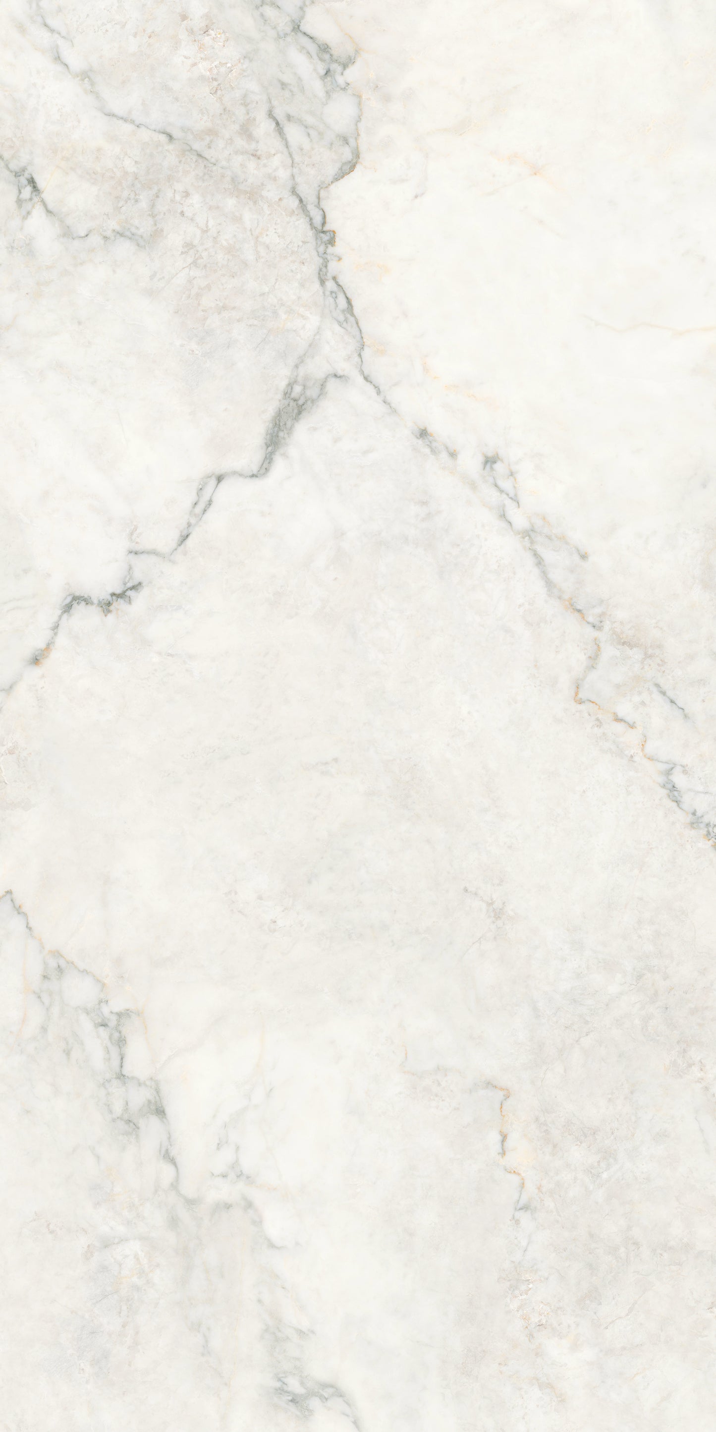 CALACATTA NUVOLA COMMERCIAL