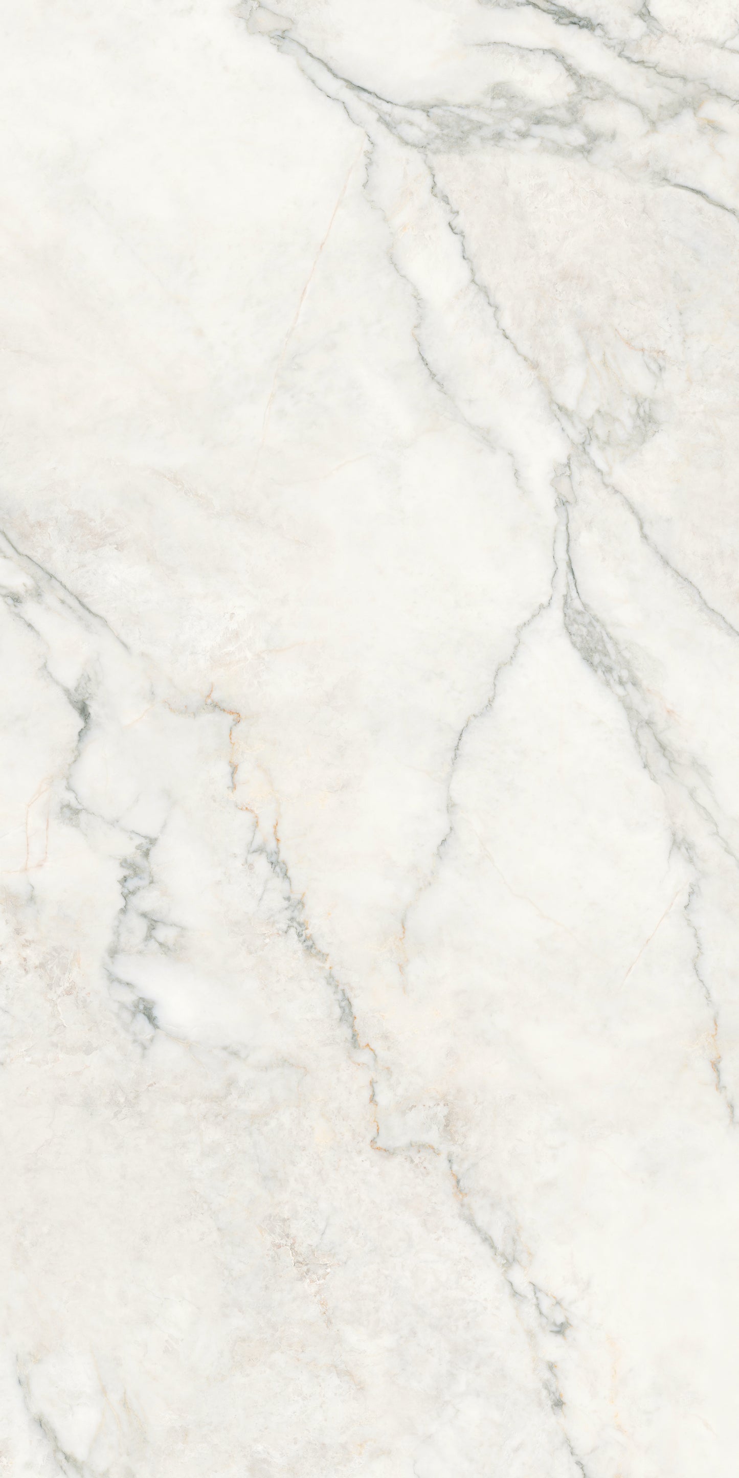 CALACATTA NUVOLA COMMERCIAL