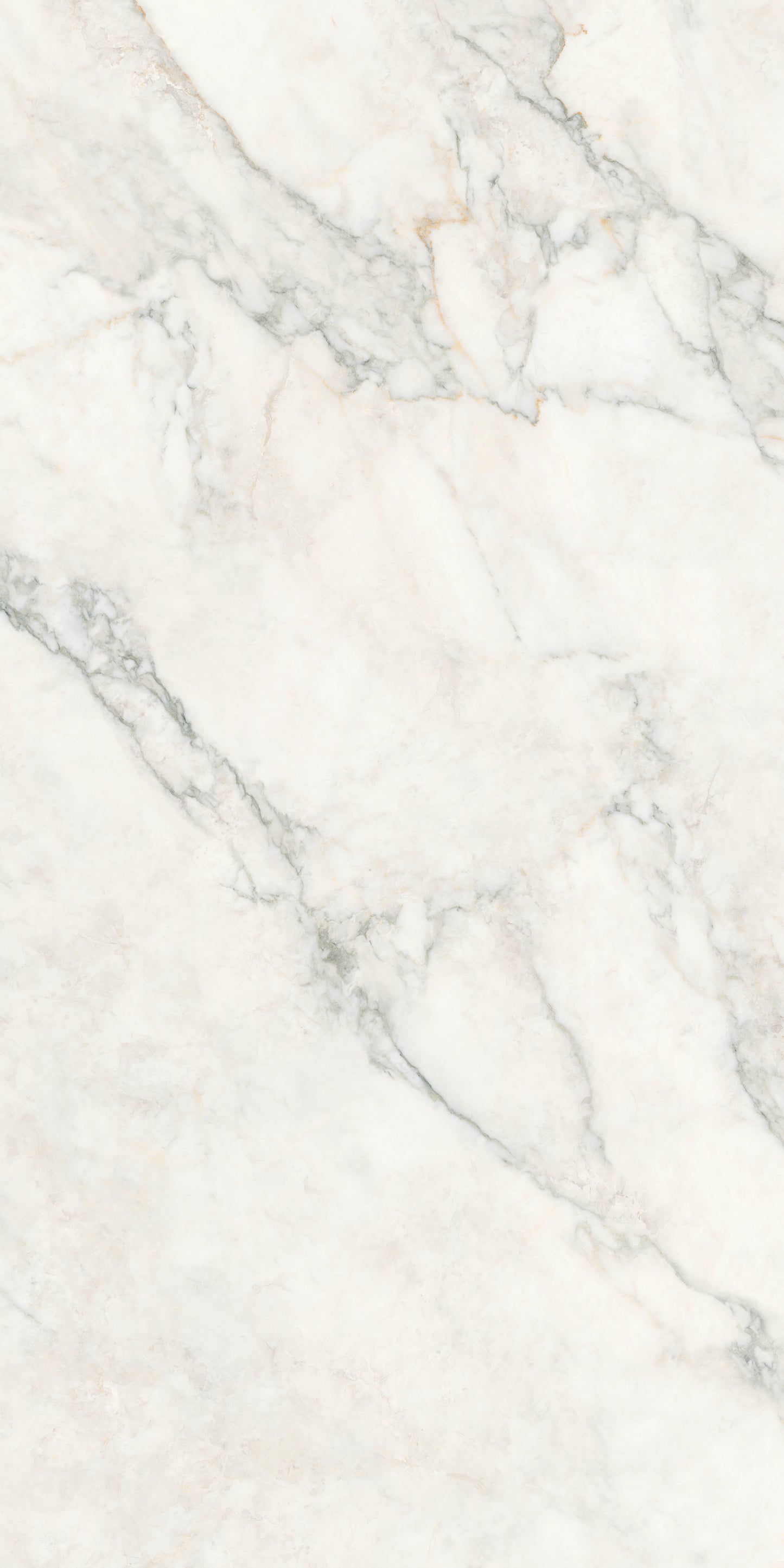 CALACATTA NUVOLA COMMERCIAL