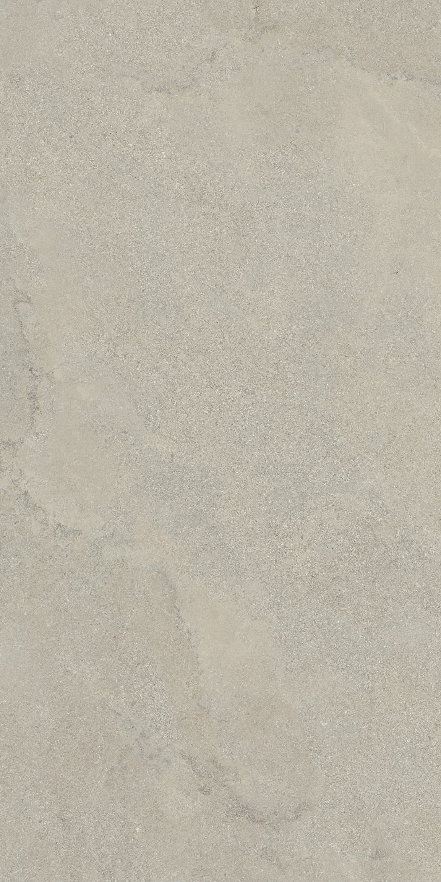 GRIGIO FOSSIL
