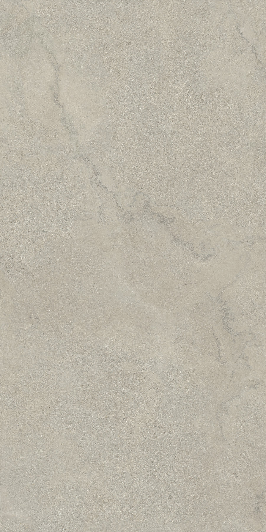 GRIGIO FOSSIL