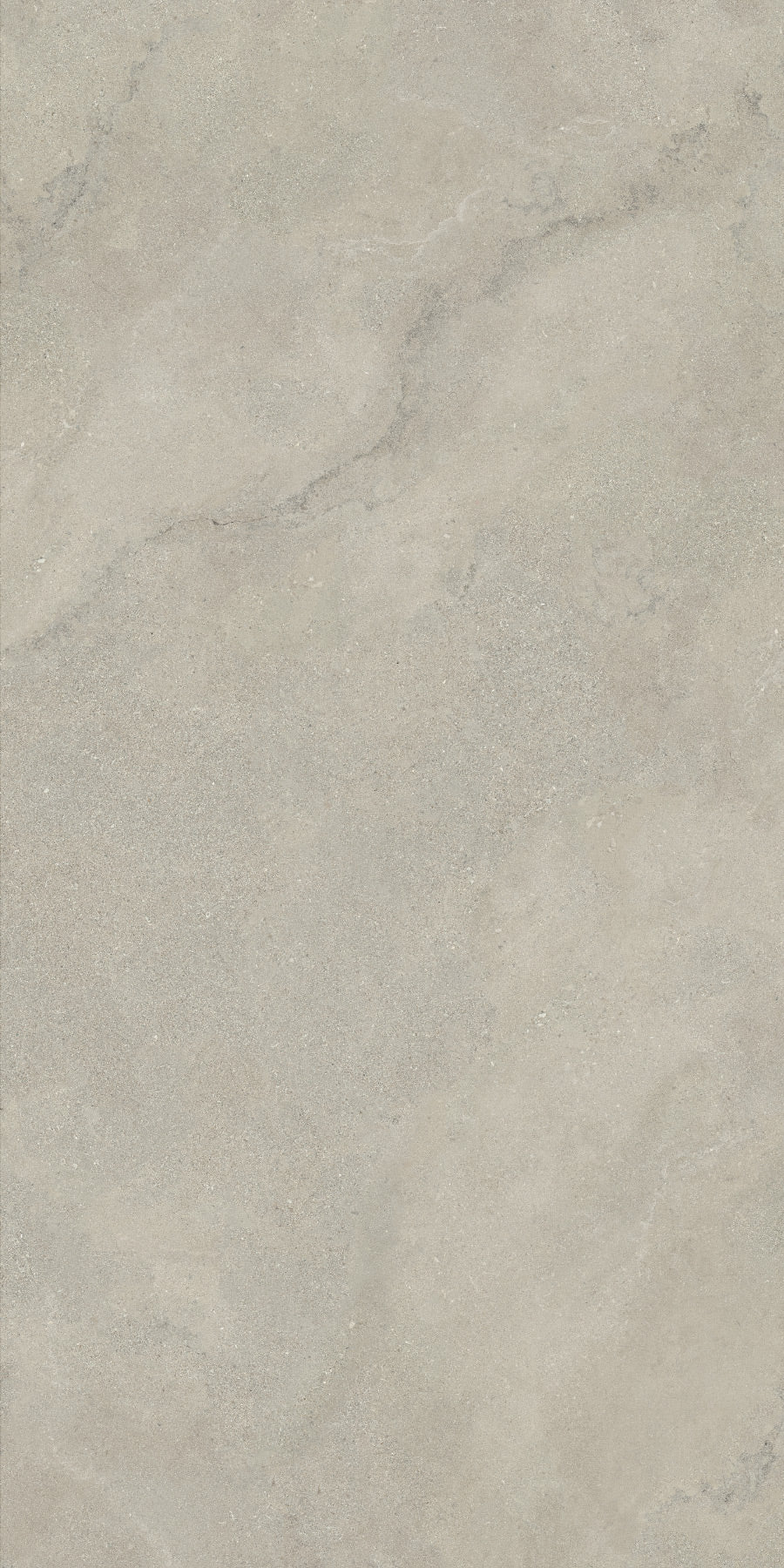 GRIGIO FOSSIL