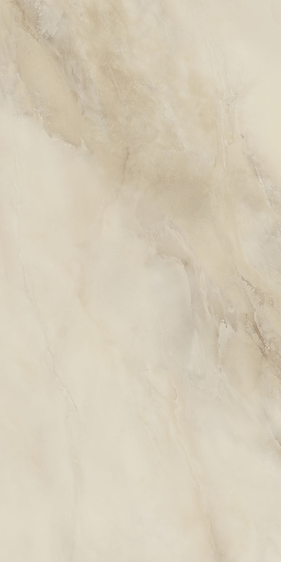 ONYX CLOUD
