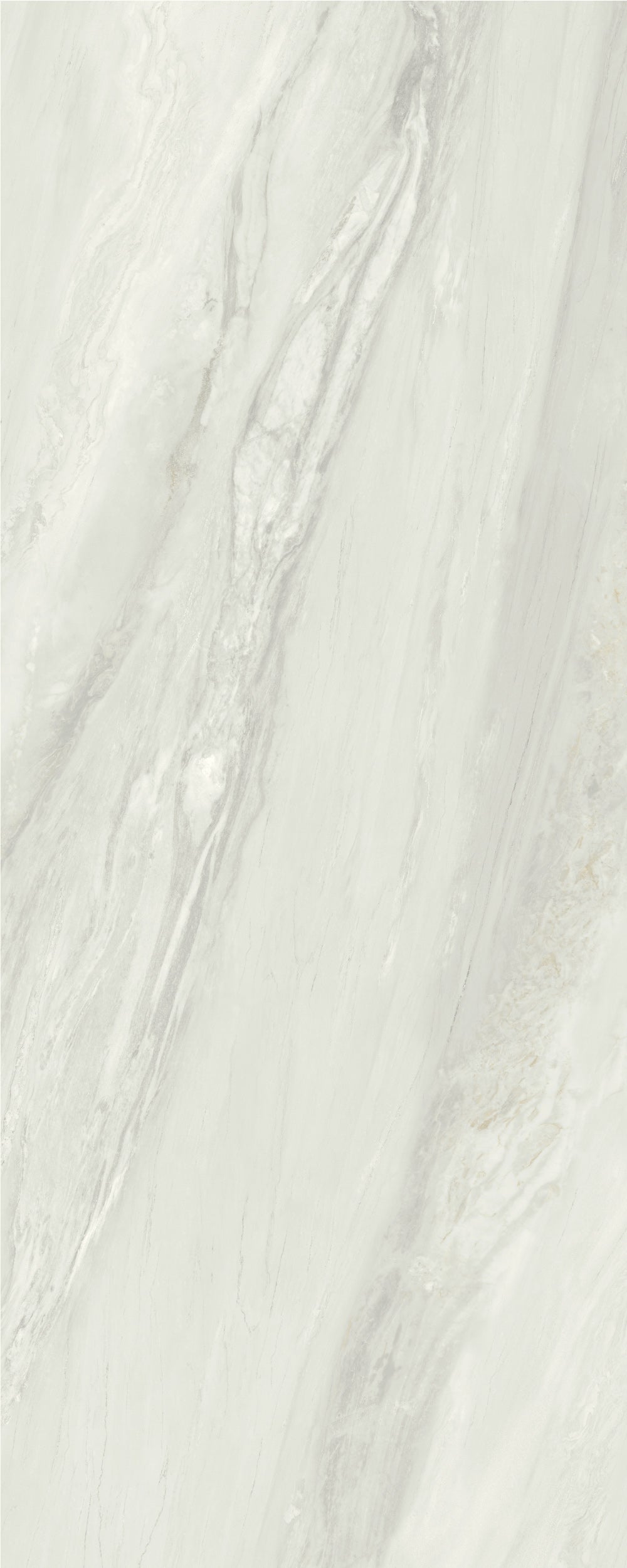 GRAND OYSTER CALCITE