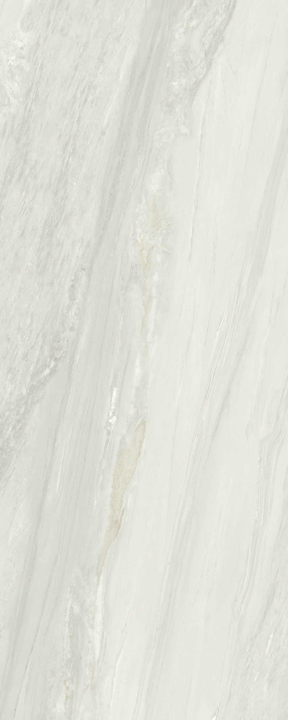 GRAND OYSTER CALCITE
