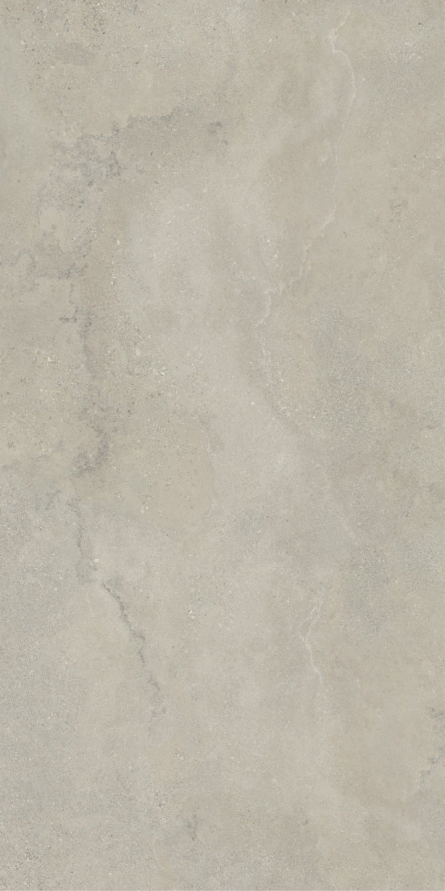 GRIGIO FOSSIL