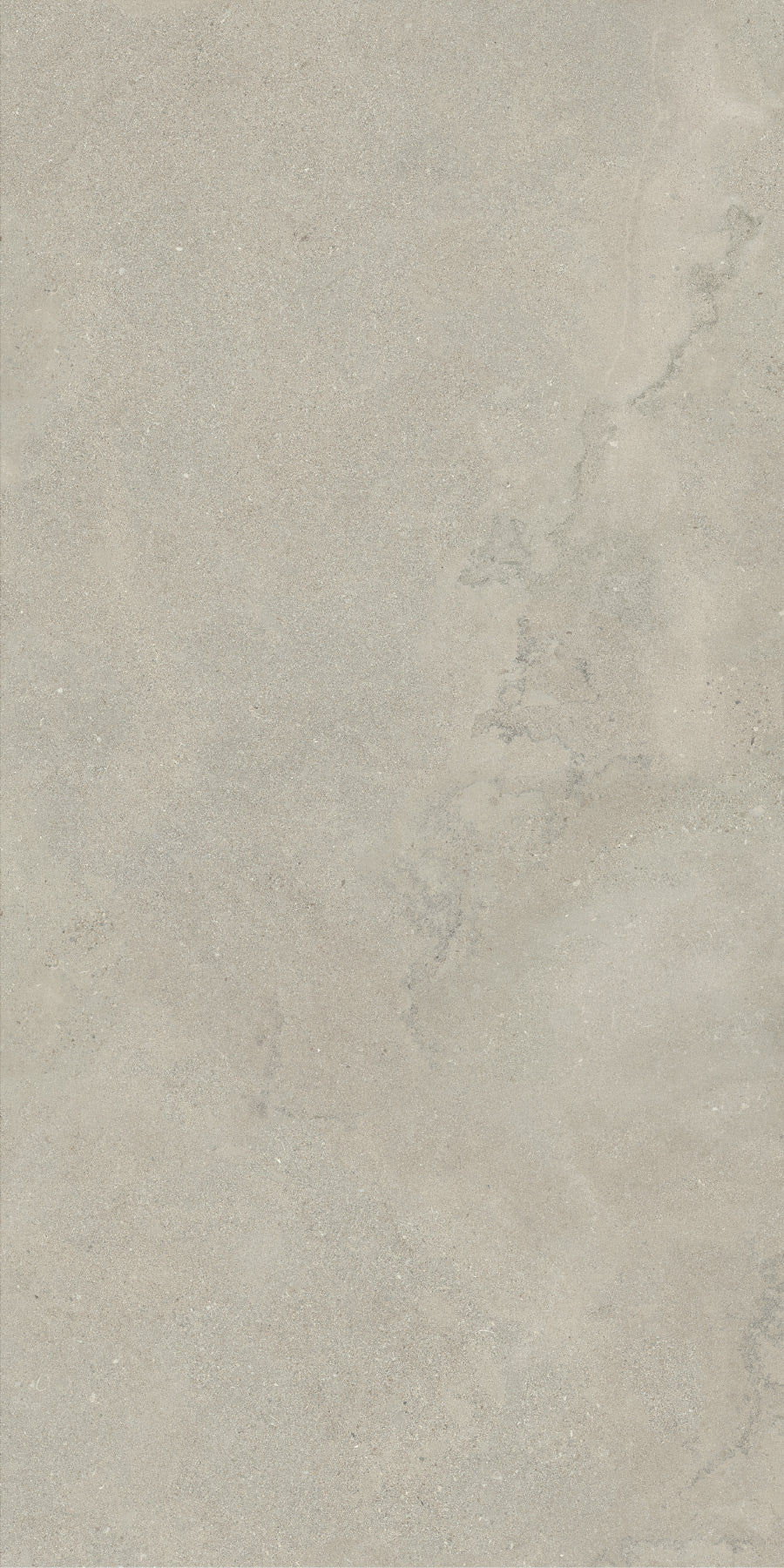 GRIGIO FOSSIL