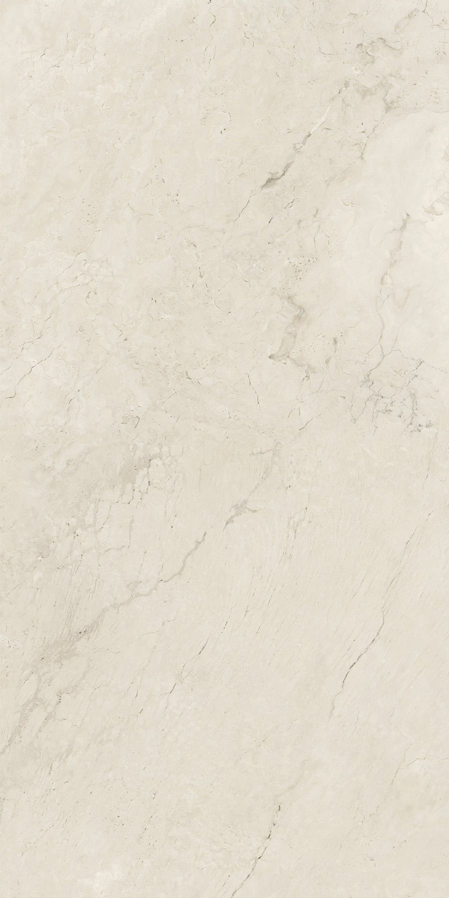 CREMA FOSSIL