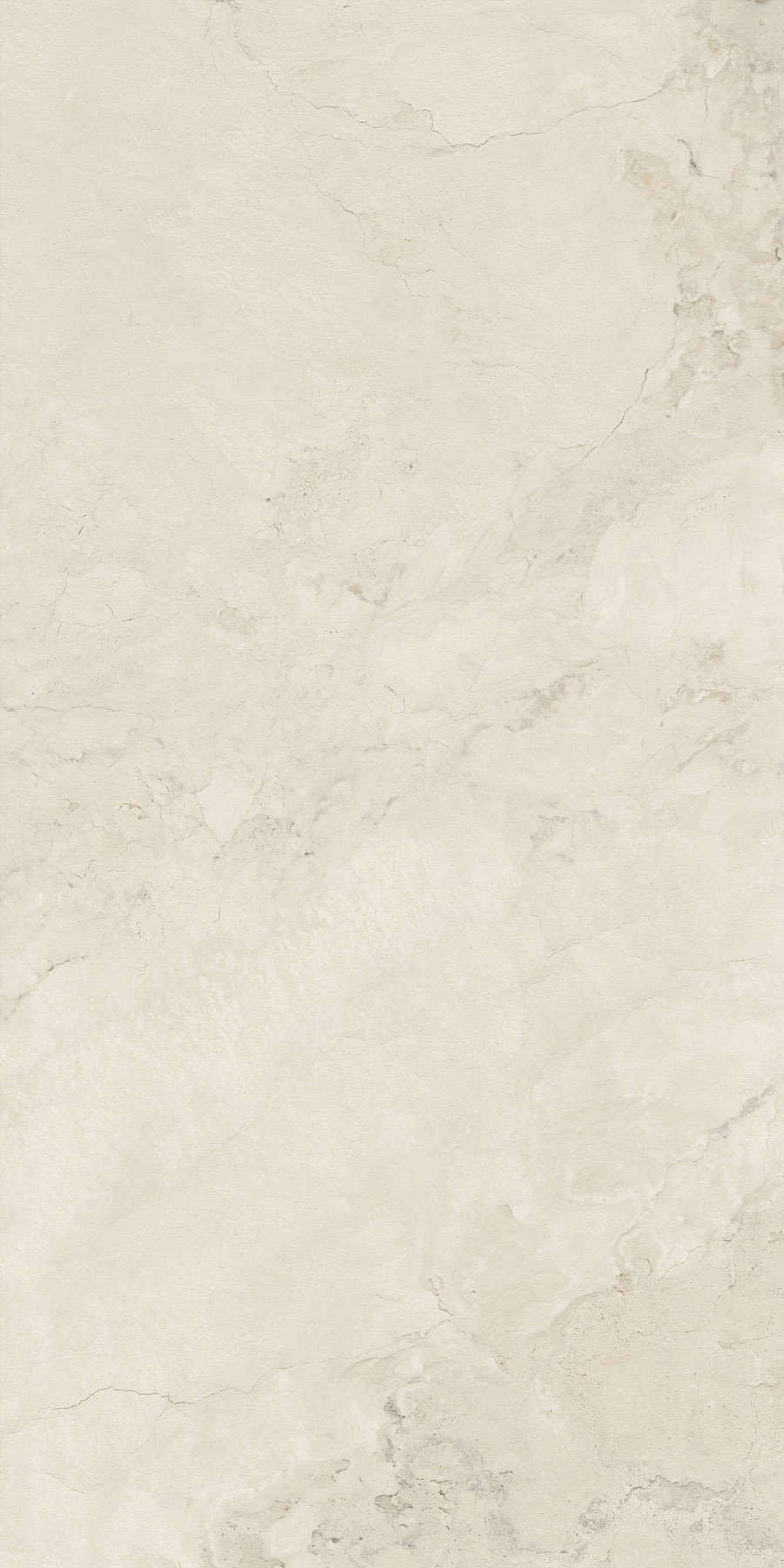 CREMA FOSSIL