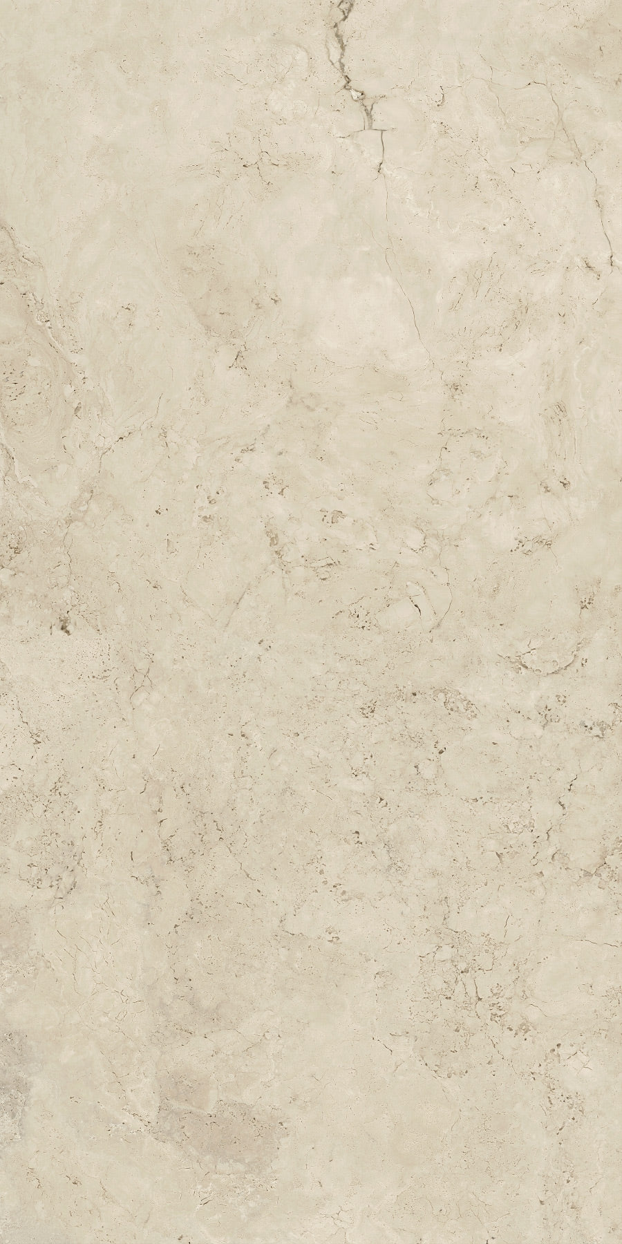 PANNA FOSSIL