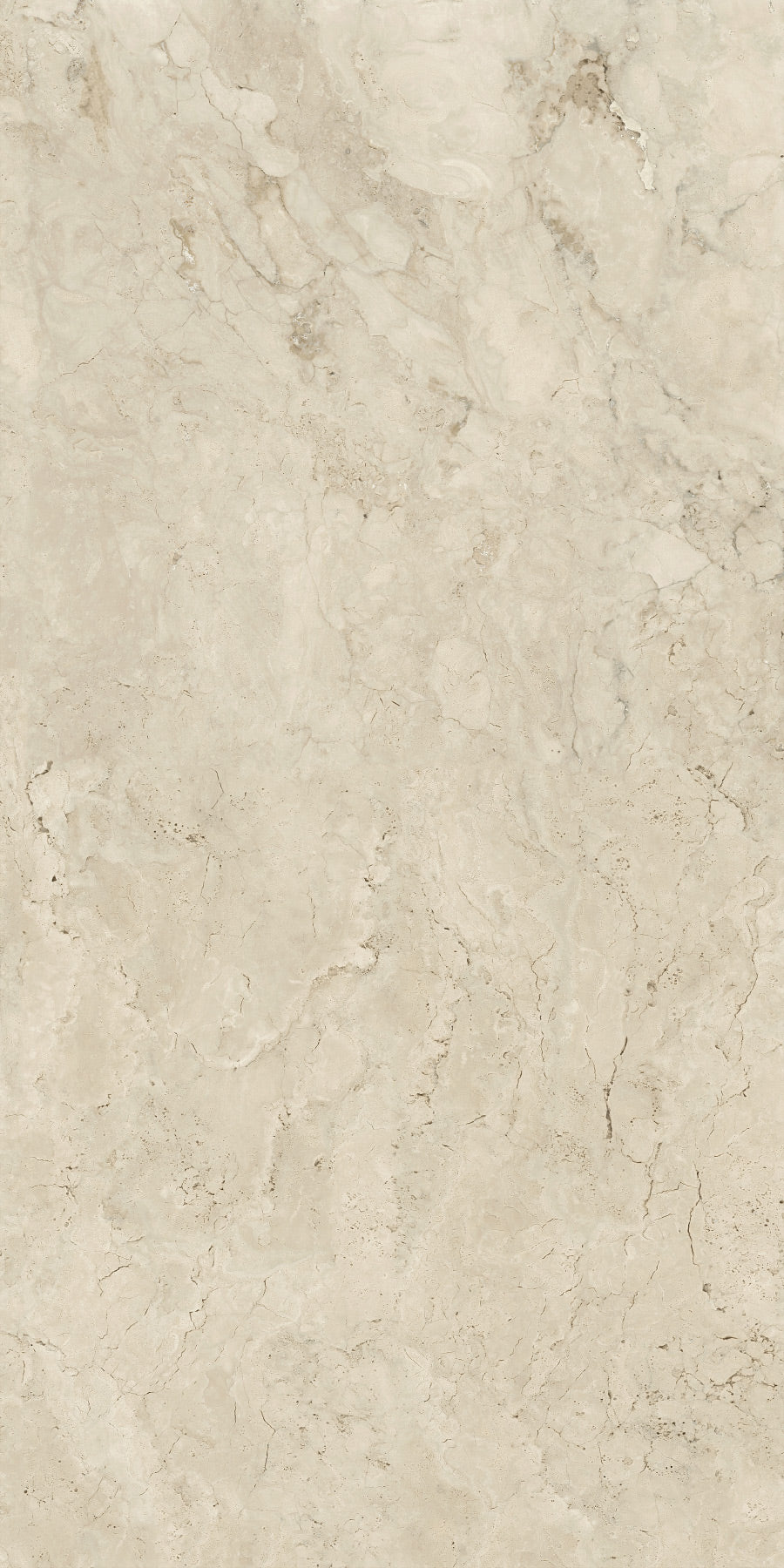 PANNA FOSSIL