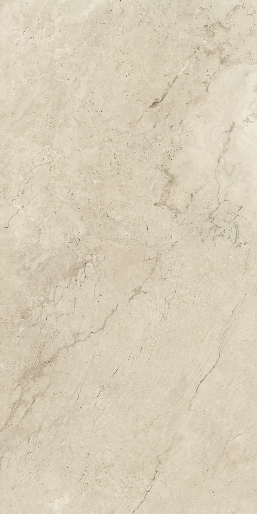 PANNA FOSSIL
