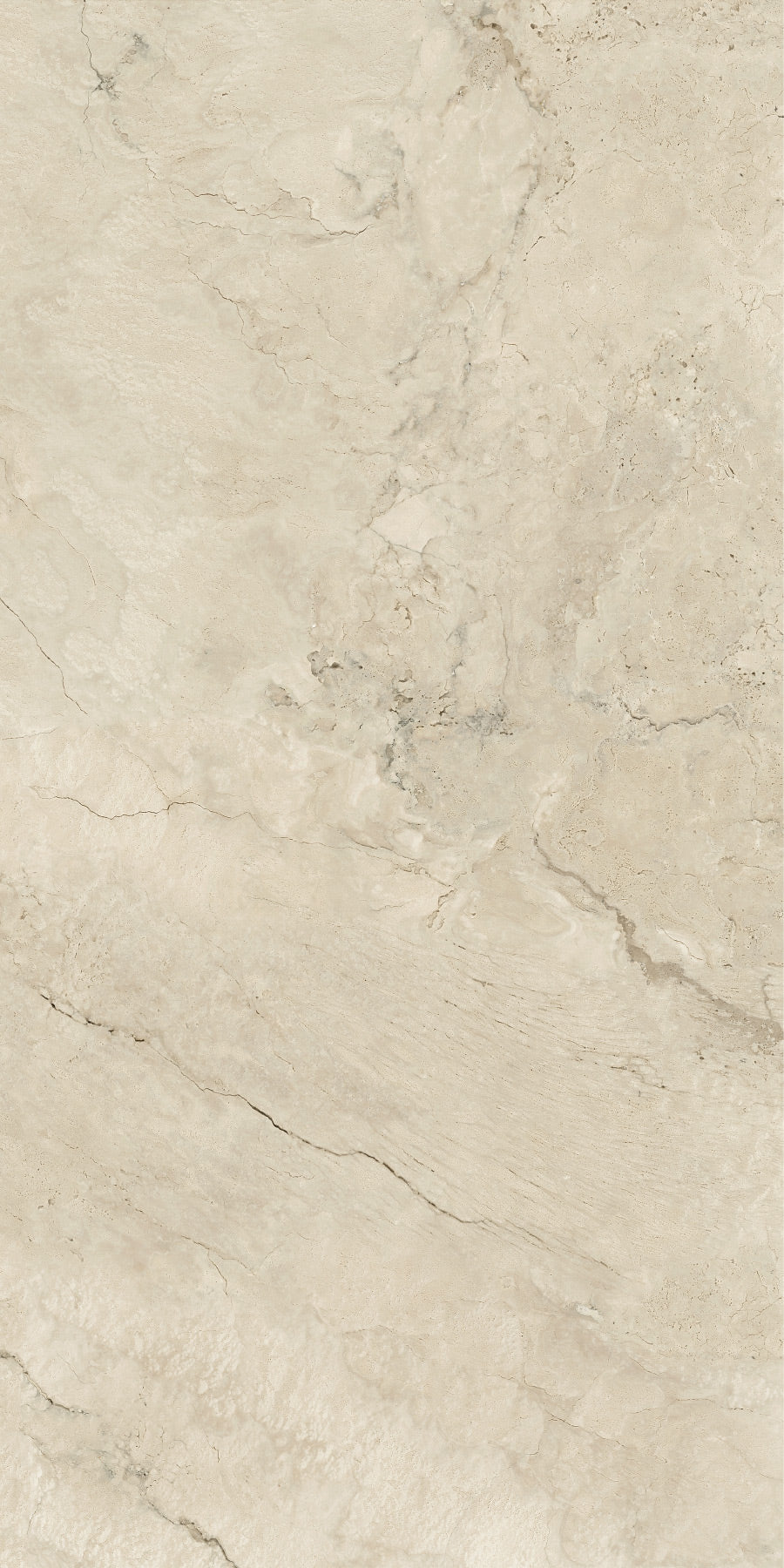 PANNA FOSSIL