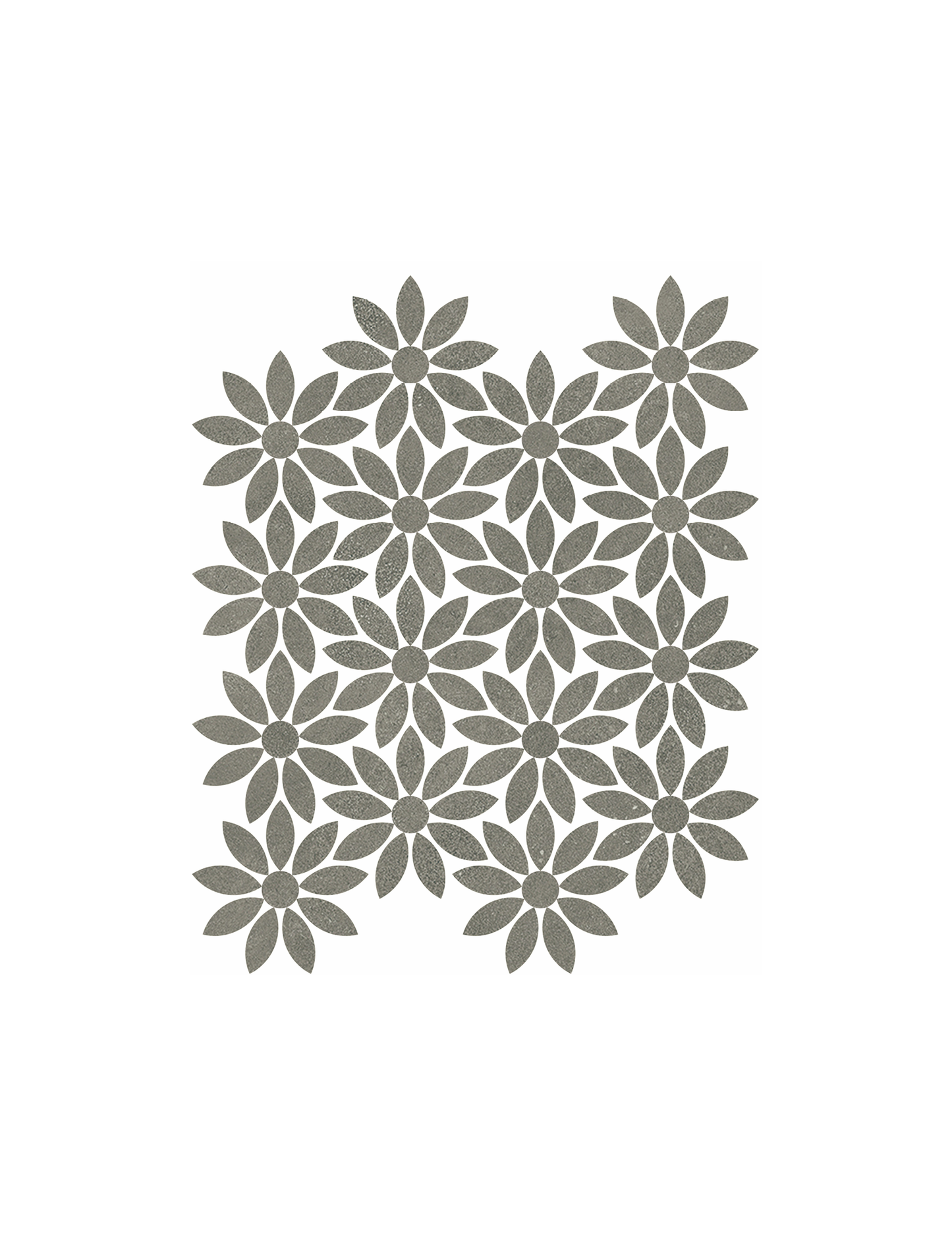 Daisy / Dust