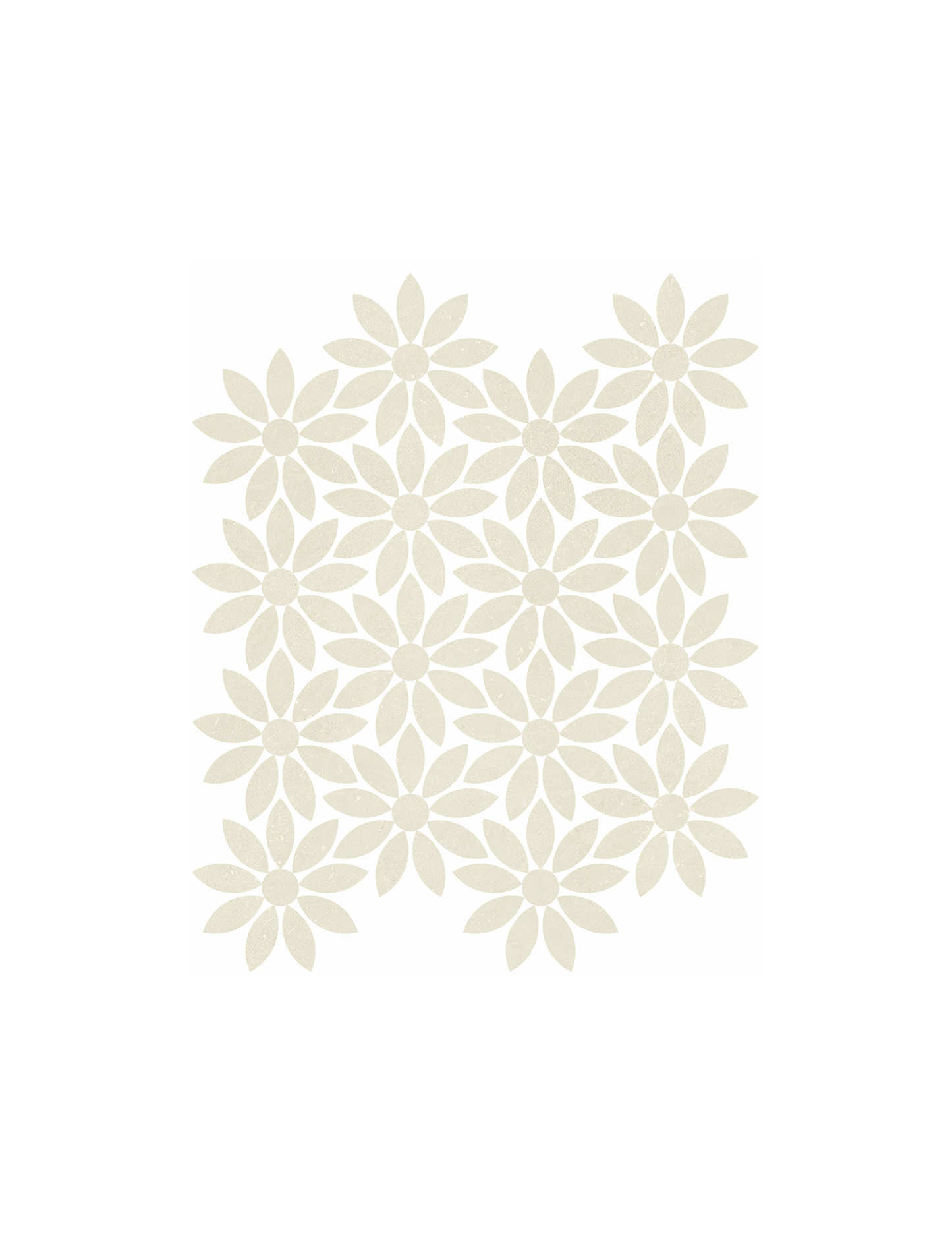 Daisy / Shine