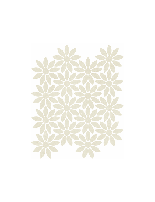 Daisy / Shine